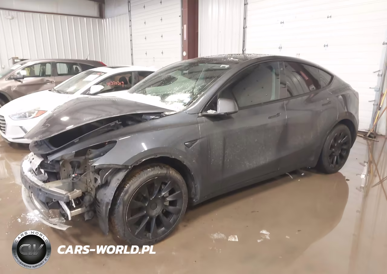 2020 Tesla Model Y Long Range Dual Motor All-Wheel Drive VIN:5YJYGDEE0LF014304 - 2