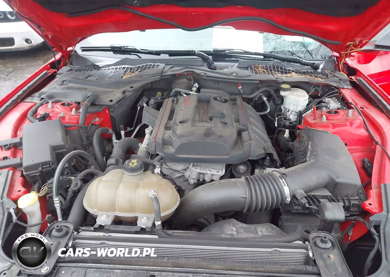 2015 Ford Mustang Ecoboost VIN:1FA6P8THXF5401997 - 10