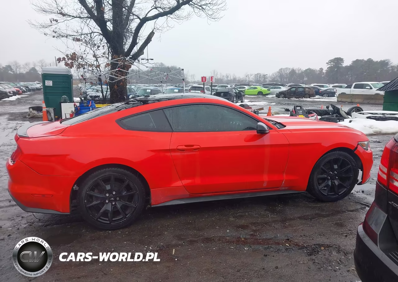 2015 Ford Mustang Ecoboost VIN:1FA6P8THXF5401997 - 13