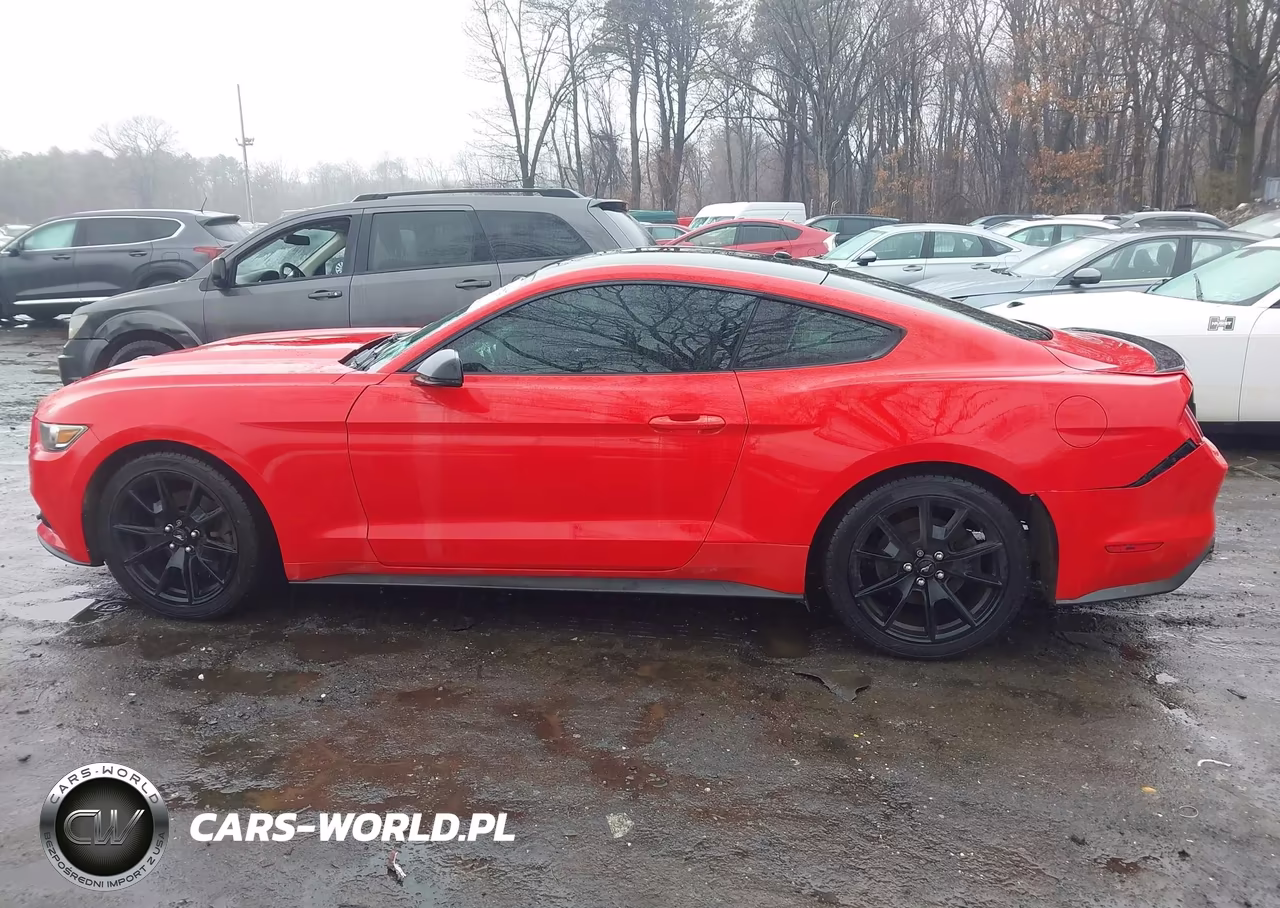 2015 Ford Mustang Ecoboost VIN:1FA6P8THXF5401997 - 14