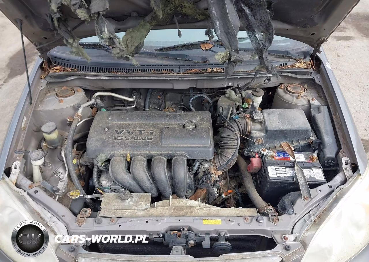 2004 Toyota Corolla Le VIN:2T1BR32E94C251829 - 10