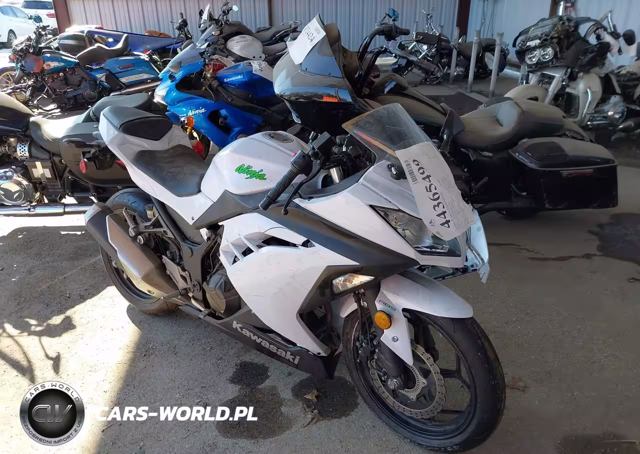 2015 Kawasaki Ex300 B