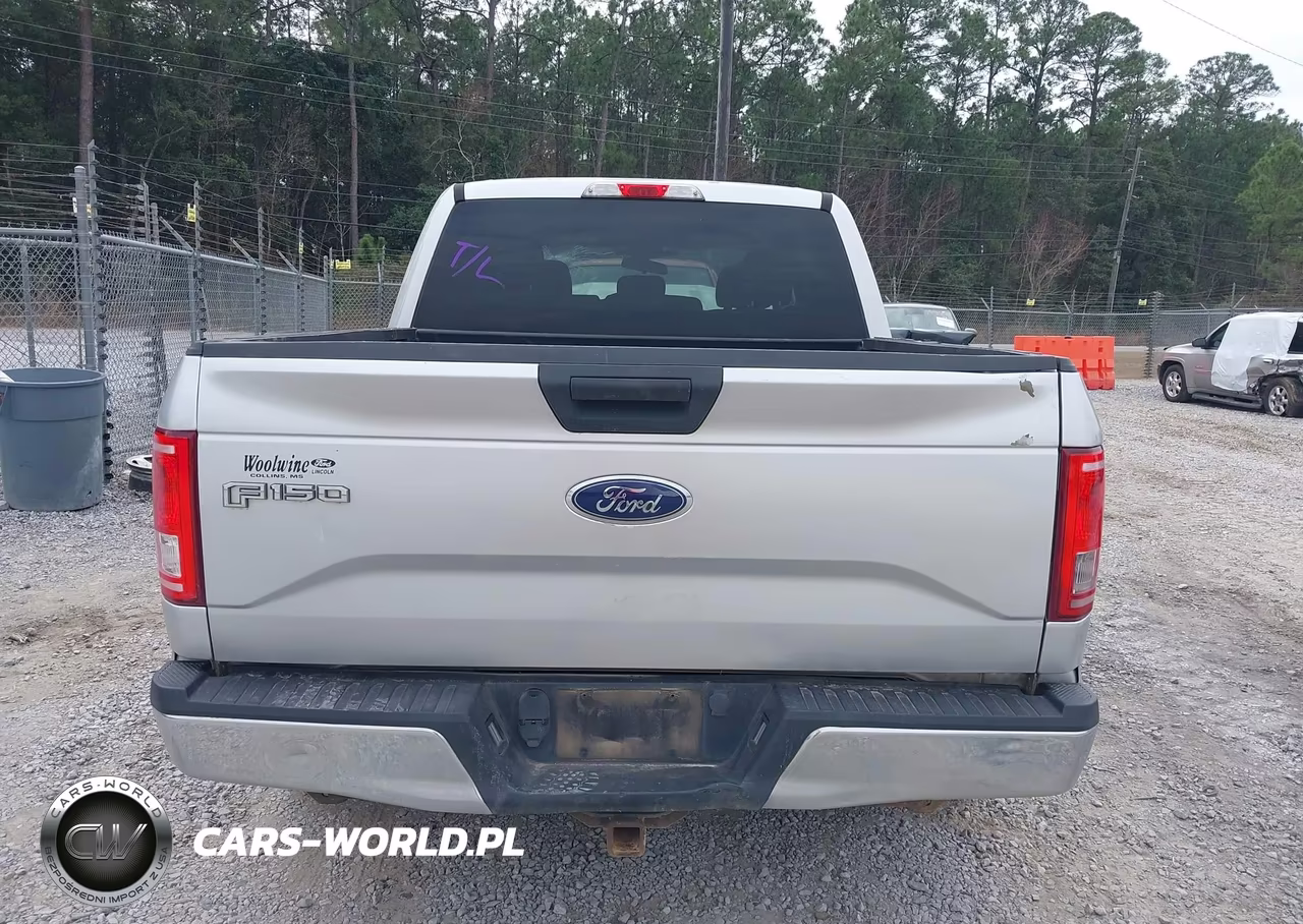 2015 Ford F-150 Xlt VIN:1FTEW1CP1FFC46998 - 16