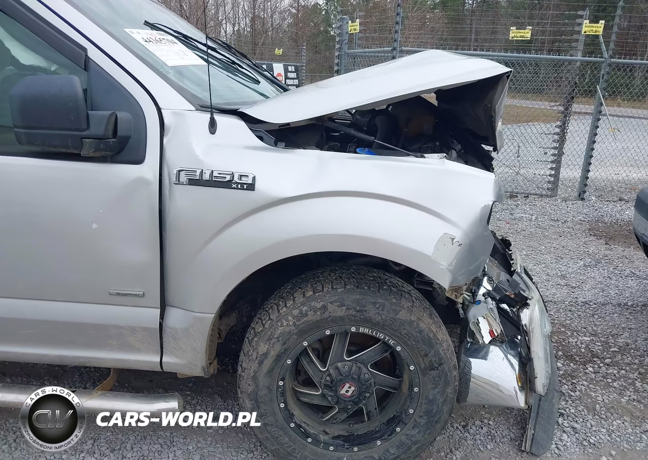 2015 Ford F-150 Xlt VIN:1FTEW1CP1FFC46998 - 17