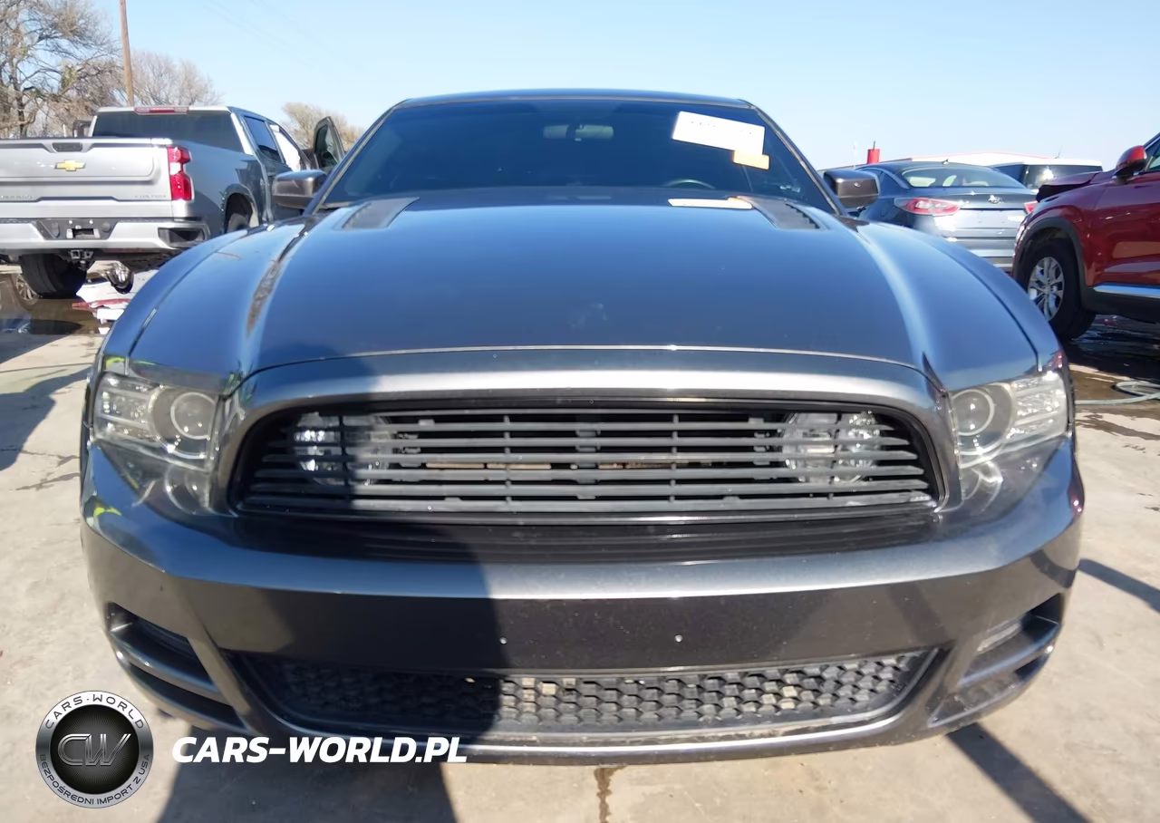2014 Ford Mustang Gt VIN:1ZVBP8CF7E5327148 - 12