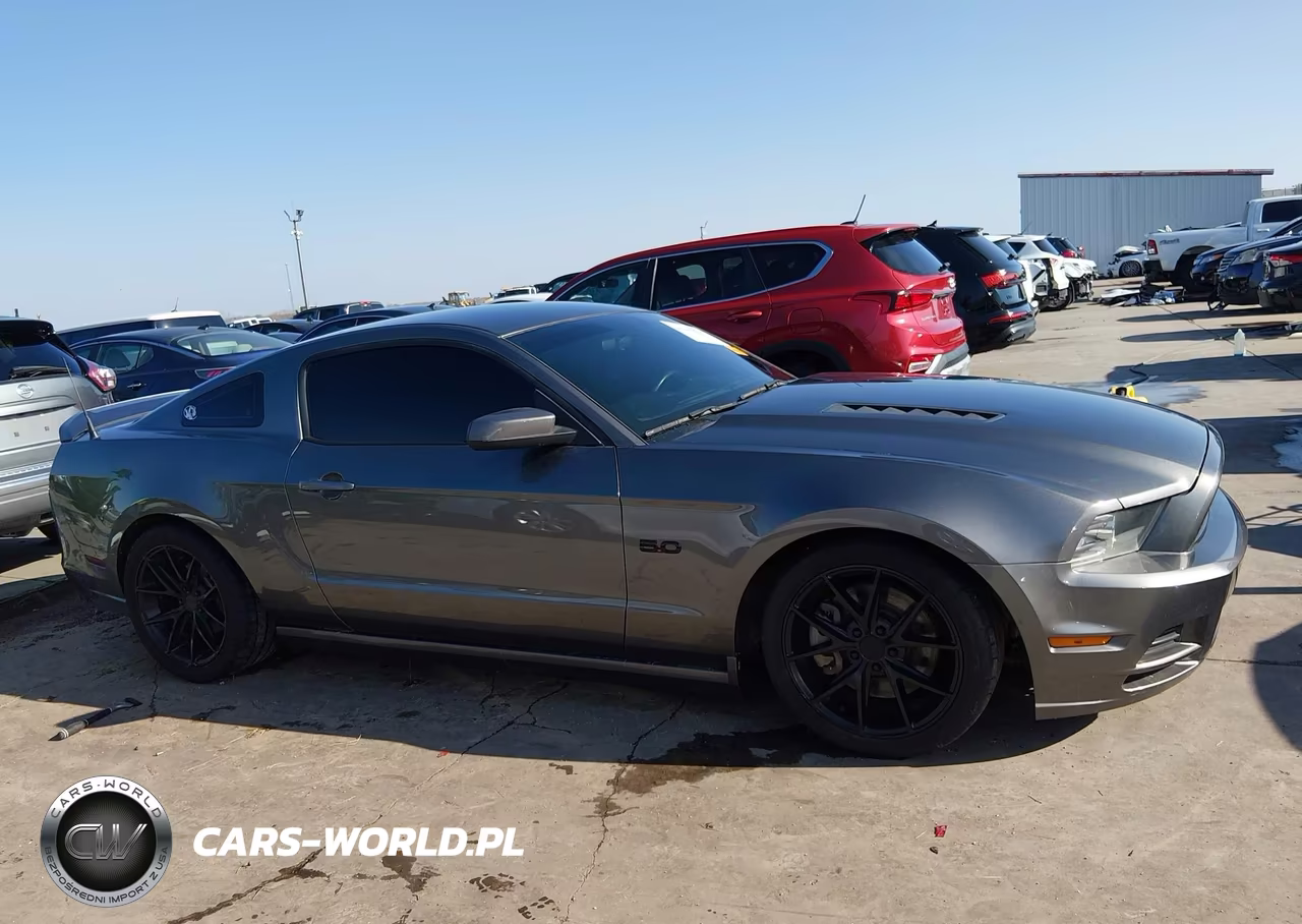2014 Ford Mustang Gt VIN:1ZVBP8CF7E5327148 - 13