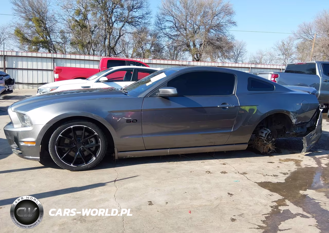 2014 Ford Mustang Gt VIN:1ZVBP8CF7E5327148 - 14