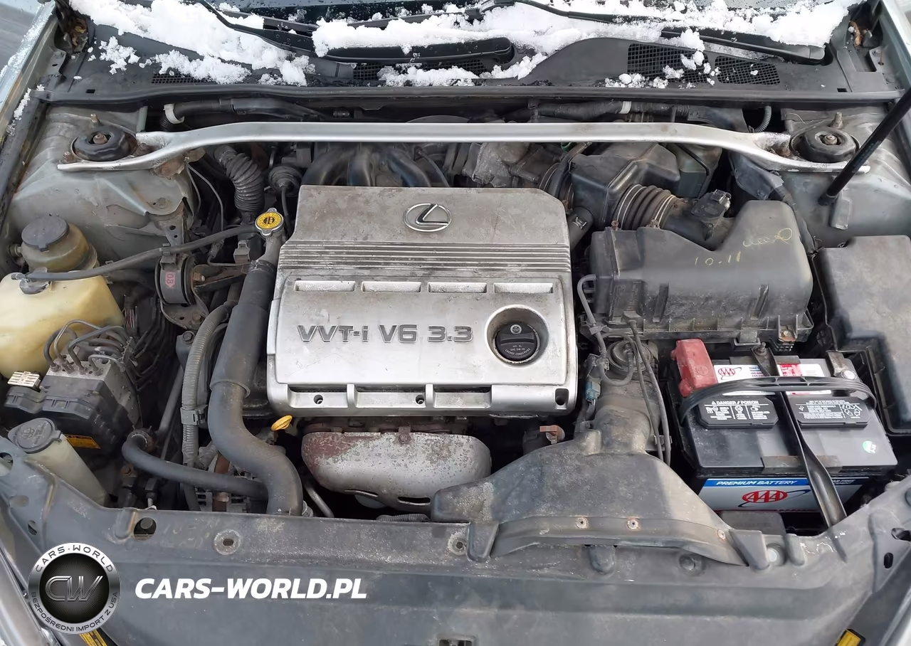 2004 Lexus Es 330 VIN:JTHBA30G145010063 - 10