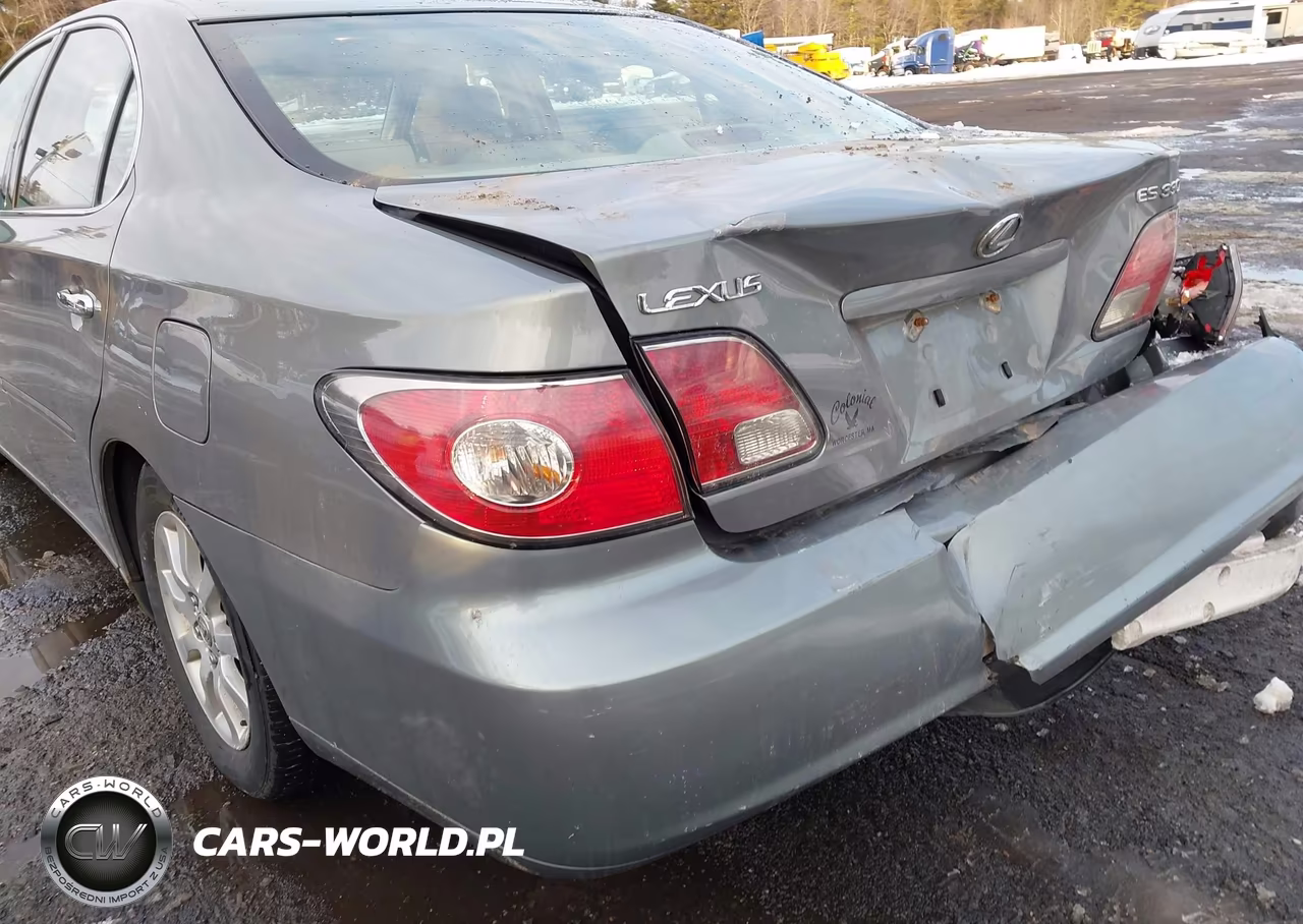 2004 Lexus Es 330 VIN:JTHBA30G145010063 - 13