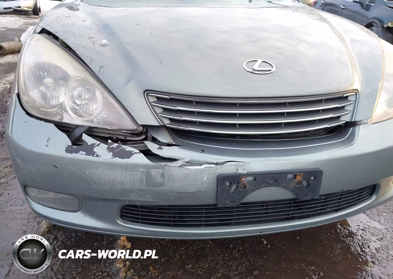 2004 Lexus Es 330 VIN:JTHBA30G145010063 - 15