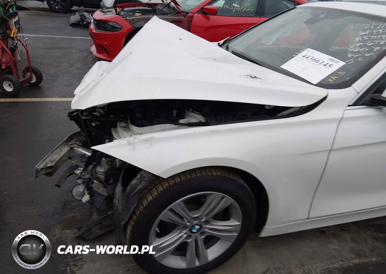 2018 BMW 330I VIN:WBA8B9G59JNU96789 - 18