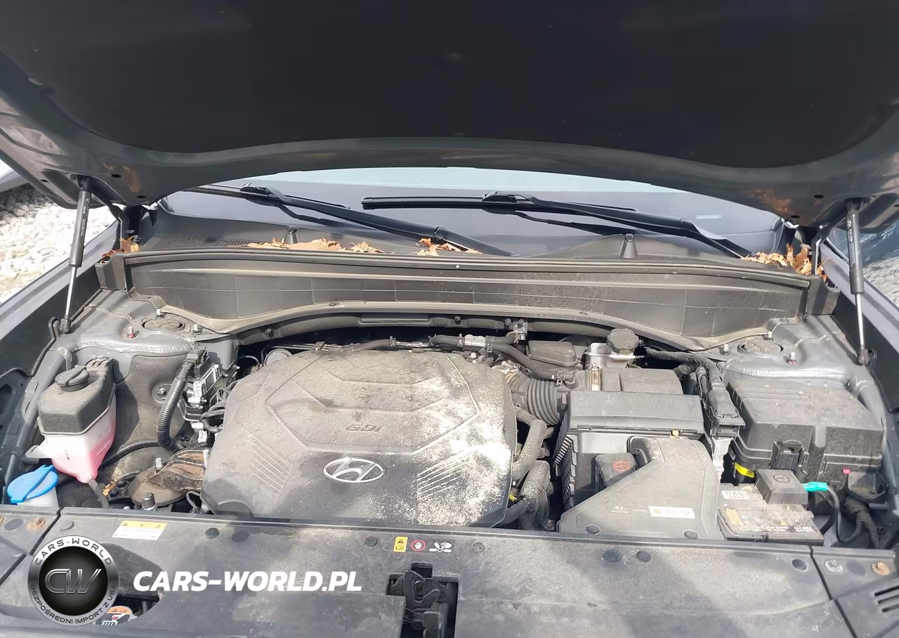 2023 Hyundai Palisade Xrt VIN:KM8R3DGEXPU547198 - 10