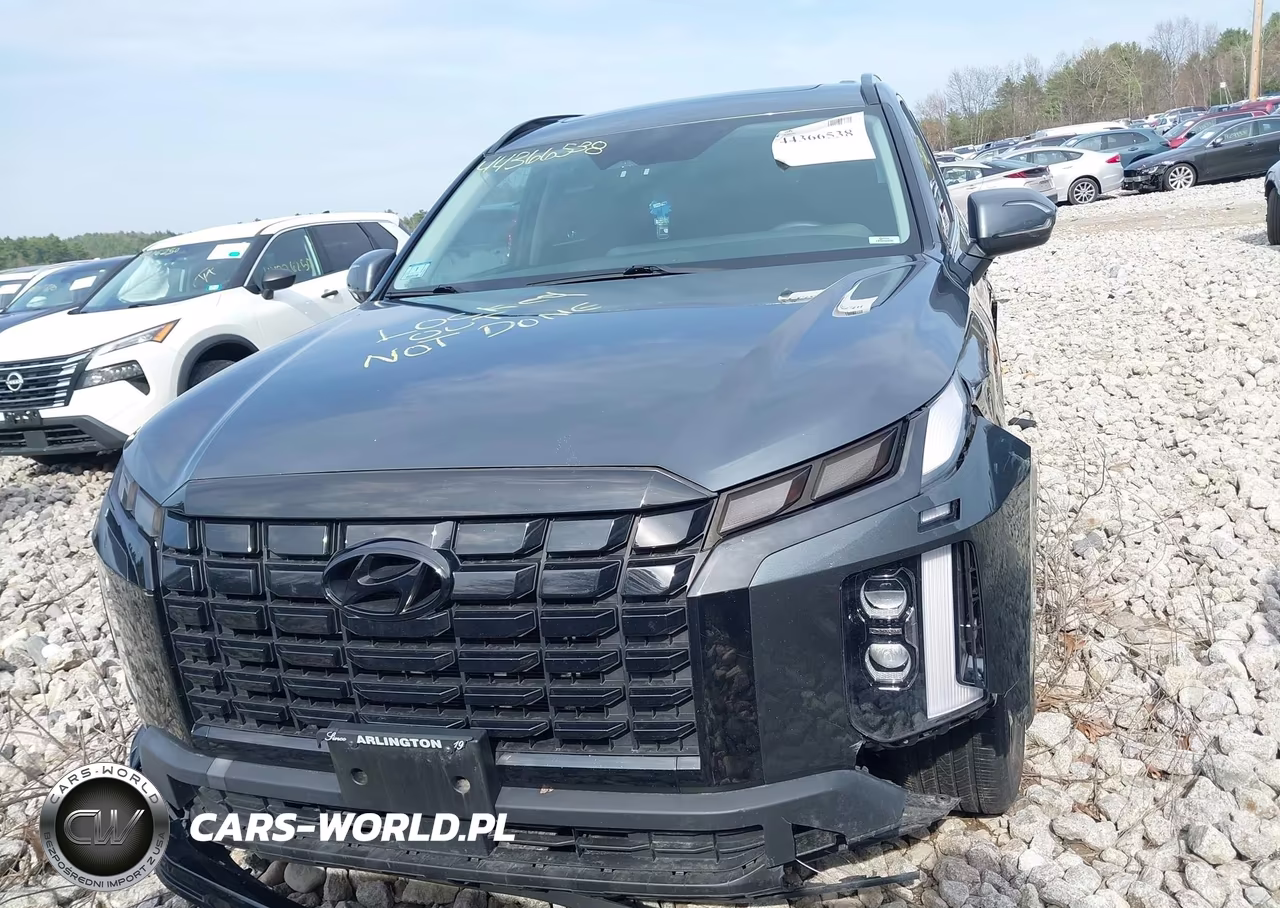 2023 Hyundai Palisade Xrt VIN:KM8R3DGEXPU547198 - 12