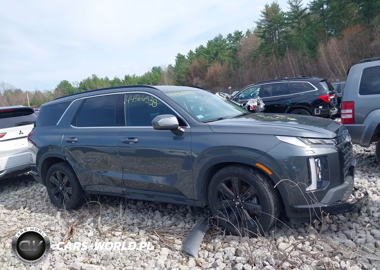 2023 Hyundai Palisade Xrt VIN:KM8R3DGEXPU547198 - 13