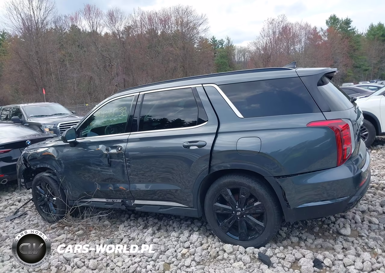2023 Hyundai Palisade Xrt VIN:KM8R3DGEXPU547198 - 14