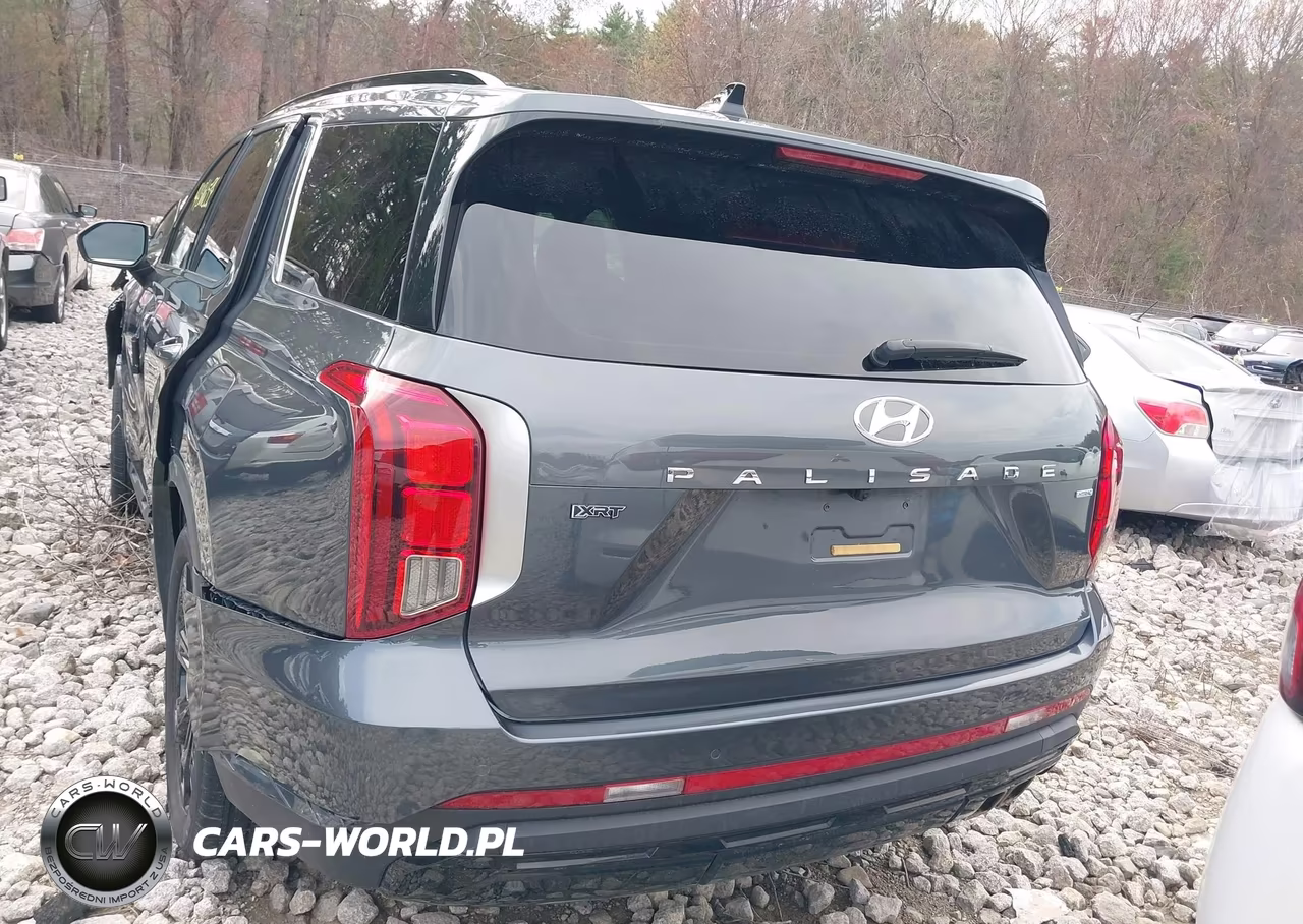 2023 Hyundai Palisade Xrt VIN:KM8R3DGEXPU547198 - 16