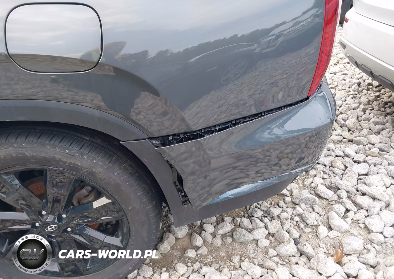 2023 Hyundai Palisade Xrt VIN:KM8R3DGEXPU547198 - 17
