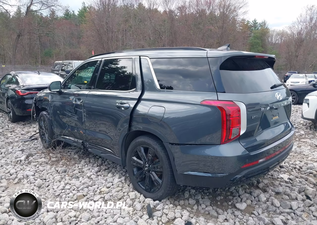 2023 Hyundai Palisade Xrt VIN:KM8R3DGEXPU547198 - 3
