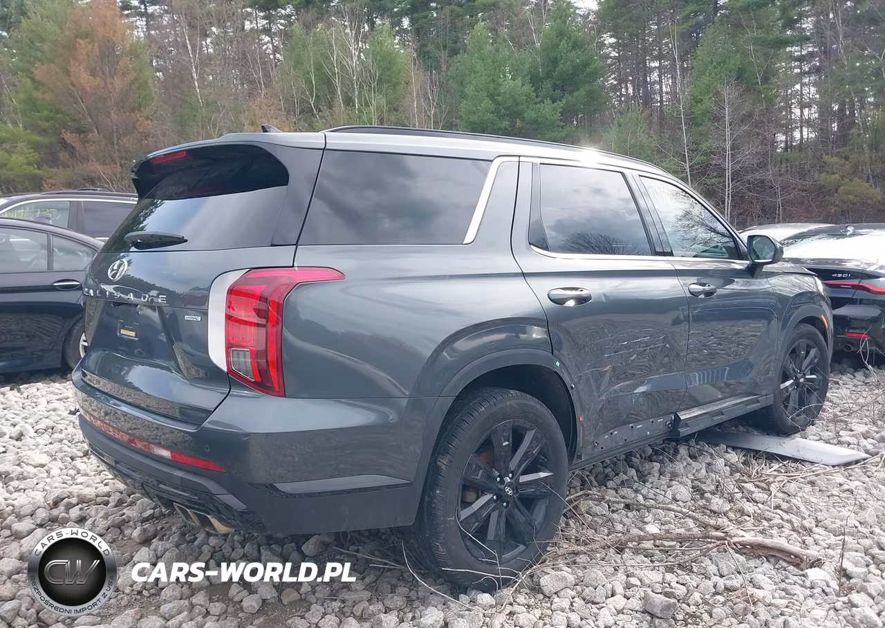 2023 Hyundai Palisade Xrt VIN:KM8R3DGEXPU547198 - 4