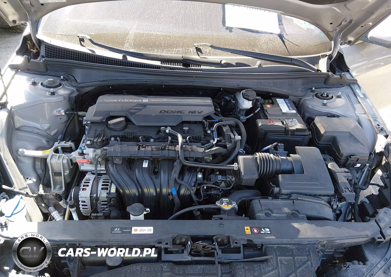 2021 Hyundai Elantra Limited VIN:KMHLP4AGXMU071311 - 10