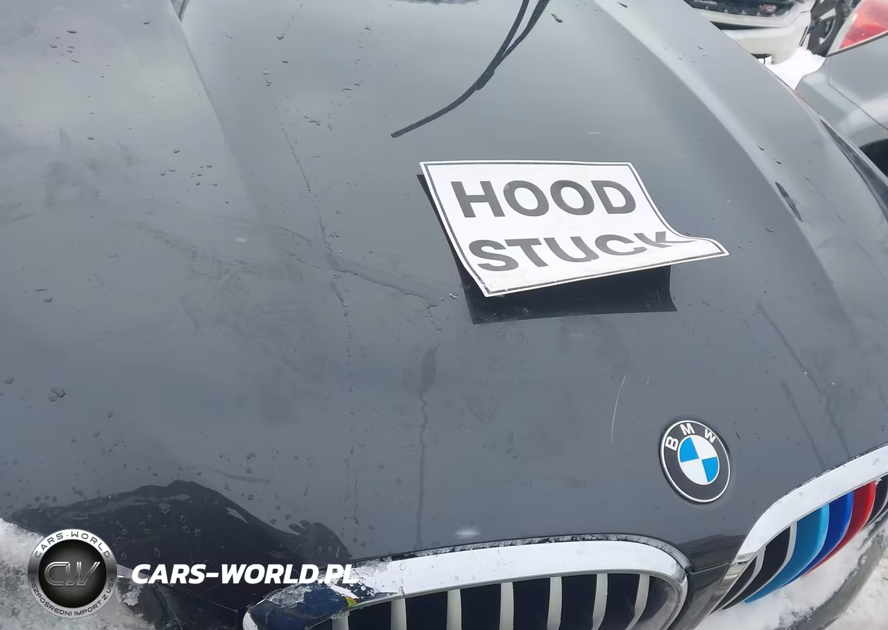 2021 BMW X3 Phev xDrive30E VIN:5UXTS1C05M9E03807 - 10