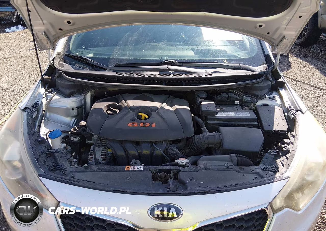 2016 Kia Forte Ex VIN:KNAFX5A86G5548022 - 10