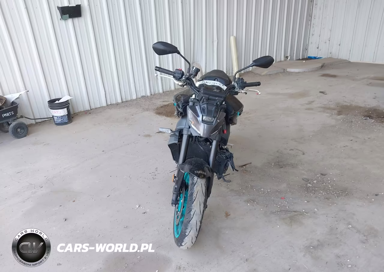 2024 Yamaha Mt09 VIN:JYARN94E5RA000484 - 5