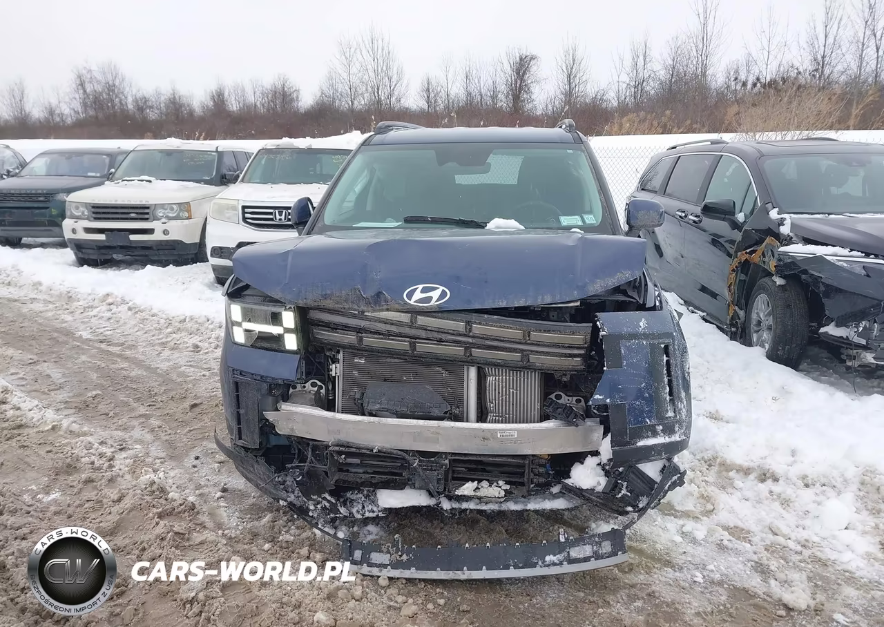 2025 Hyundai Santa Fe Sel VIN:5NMP2DGL8SH100432 - 12