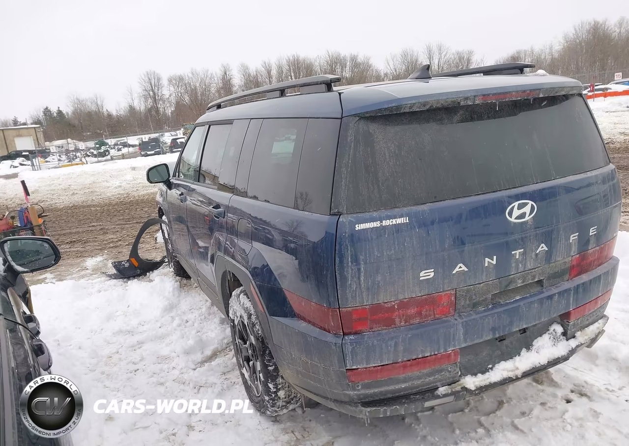 2025 Hyundai Santa Fe Sel VIN:5NMP2DGL8SH100432 - 14