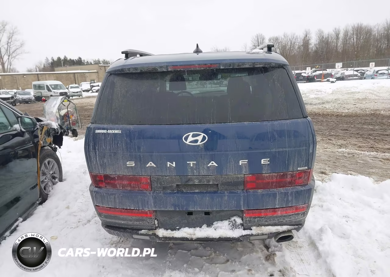 2025 Hyundai Santa Fe Sel VIN:5NMP2DGL8SH100432 - 16