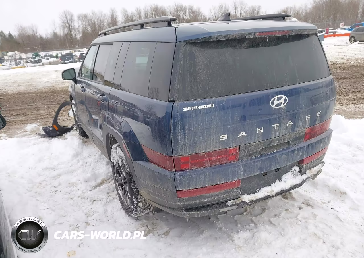 2025 Hyundai Santa Fe Sel VIN:5NMP2DGL8SH100432 - 3