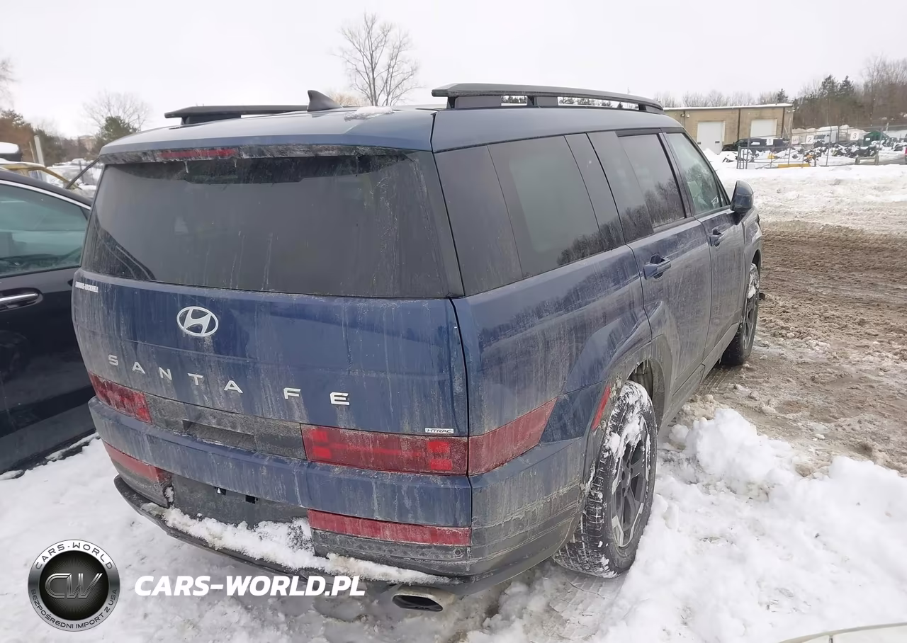 2025 Hyundai Santa Fe Sel VIN:5NMP2DGL8SH100432 - 4