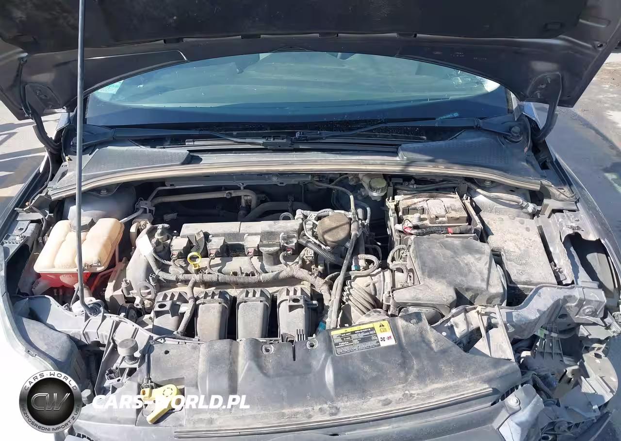 2014 Ford Focus Se VIN:1FADP3K28EL254015 - 10