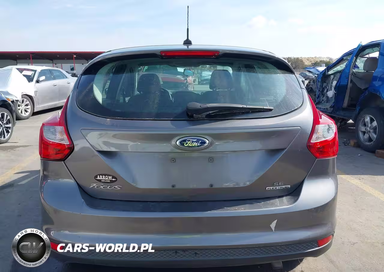 2014 Ford Focus Se VIN:1FADP3K28EL254015 - 17