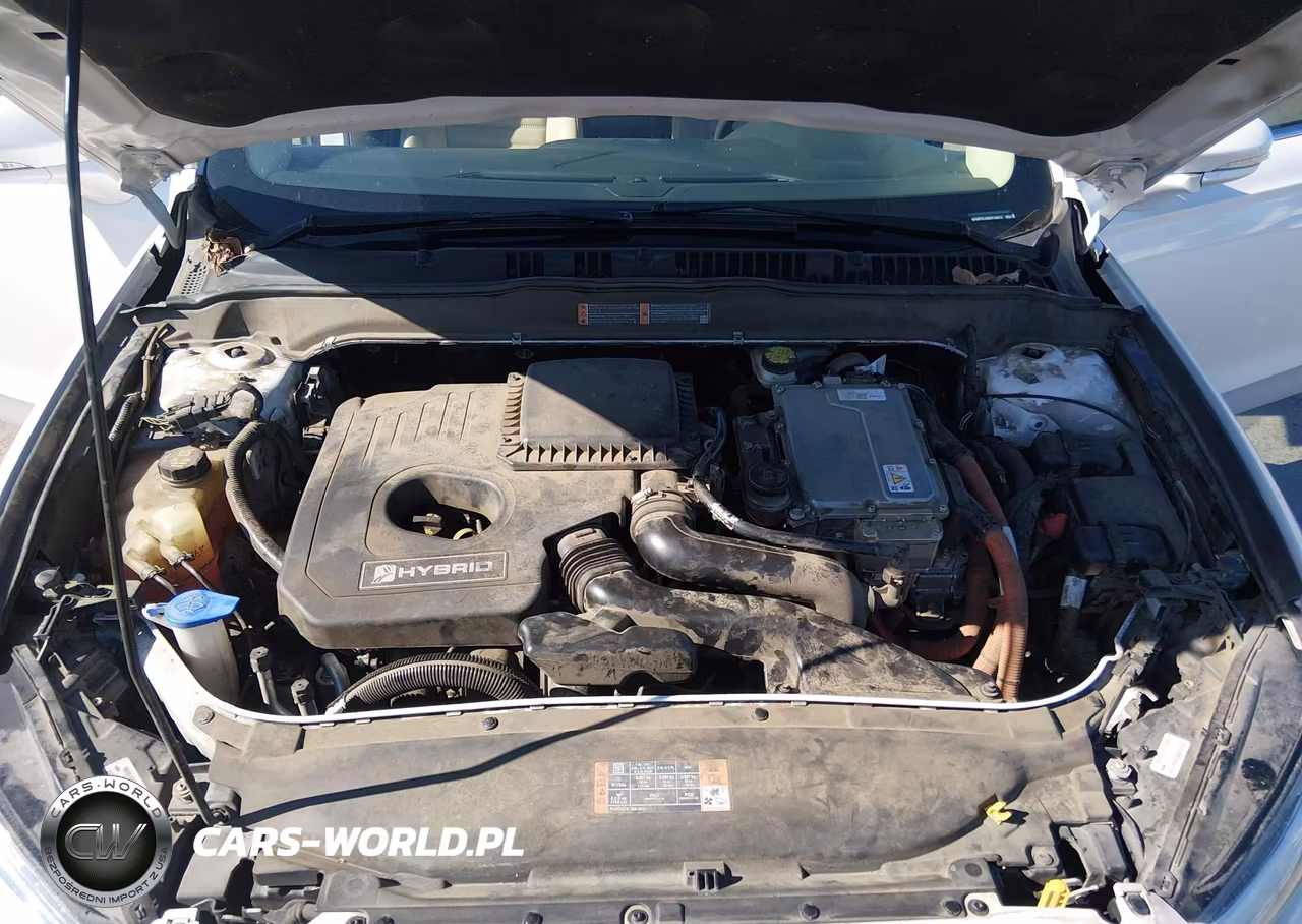 2016 Ford Fusion Hybrid Se VIN:3FA6P0LU9GR116012 - 10