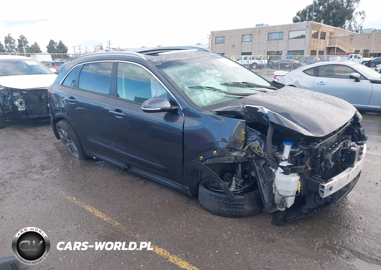 2019 Kia Niro Ev Ex Premium