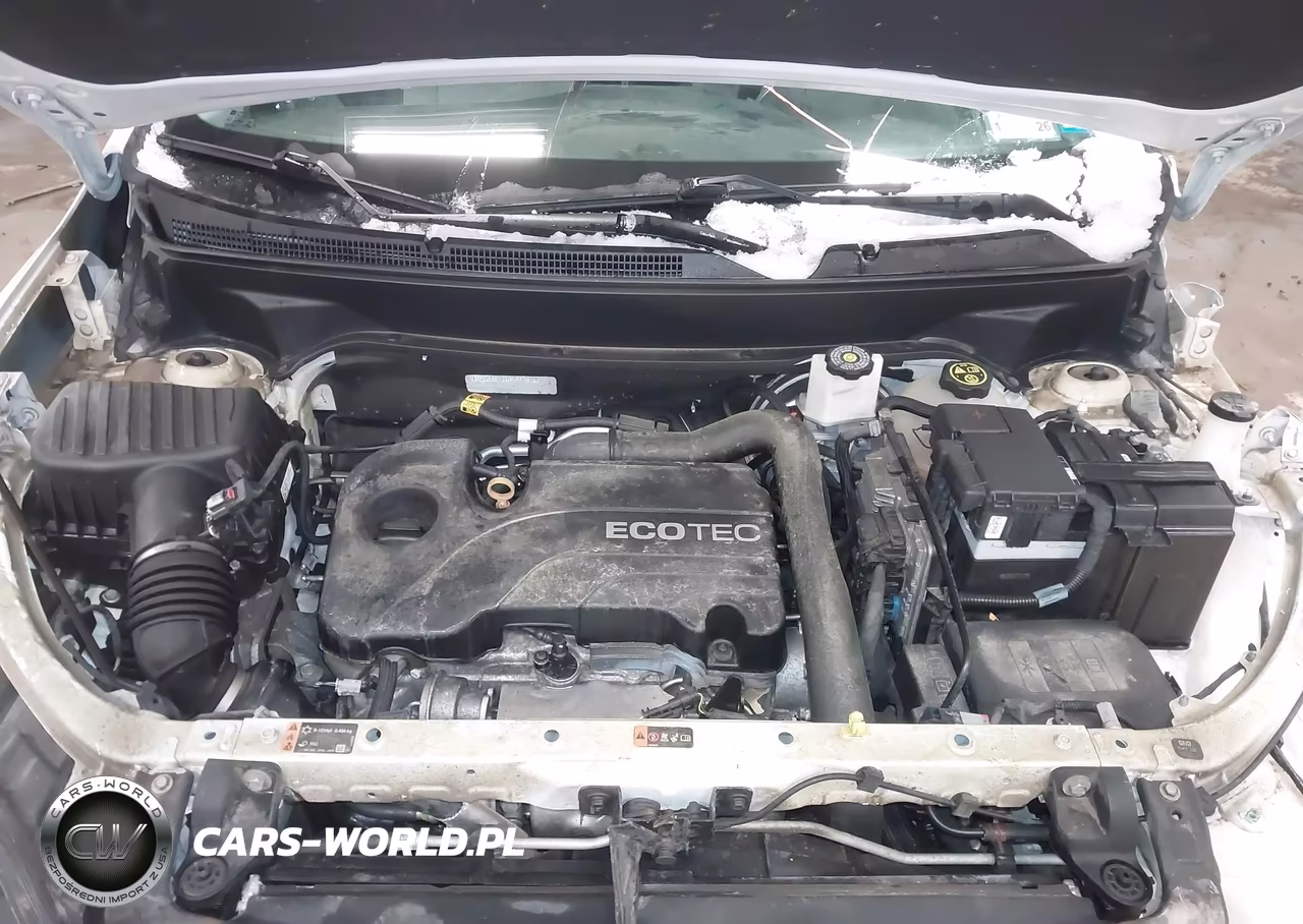 2019 Chevrolet Equinox Ls VIN:3GNAXSEV2KS644330 - 10