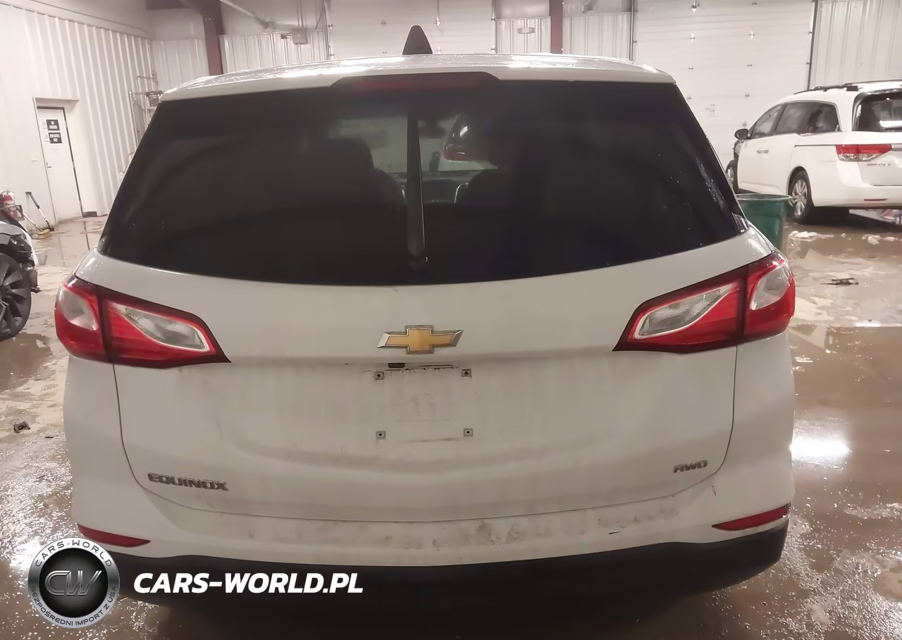 2019 Chevrolet Equinox Ls VIN:3GNAXSEV2KS644330 - 17