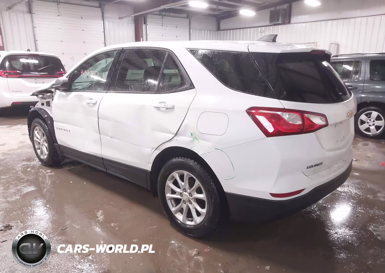 2019 Chevrolet Equinox Ls VIN:3GNAXSEV2KS644330 - 3