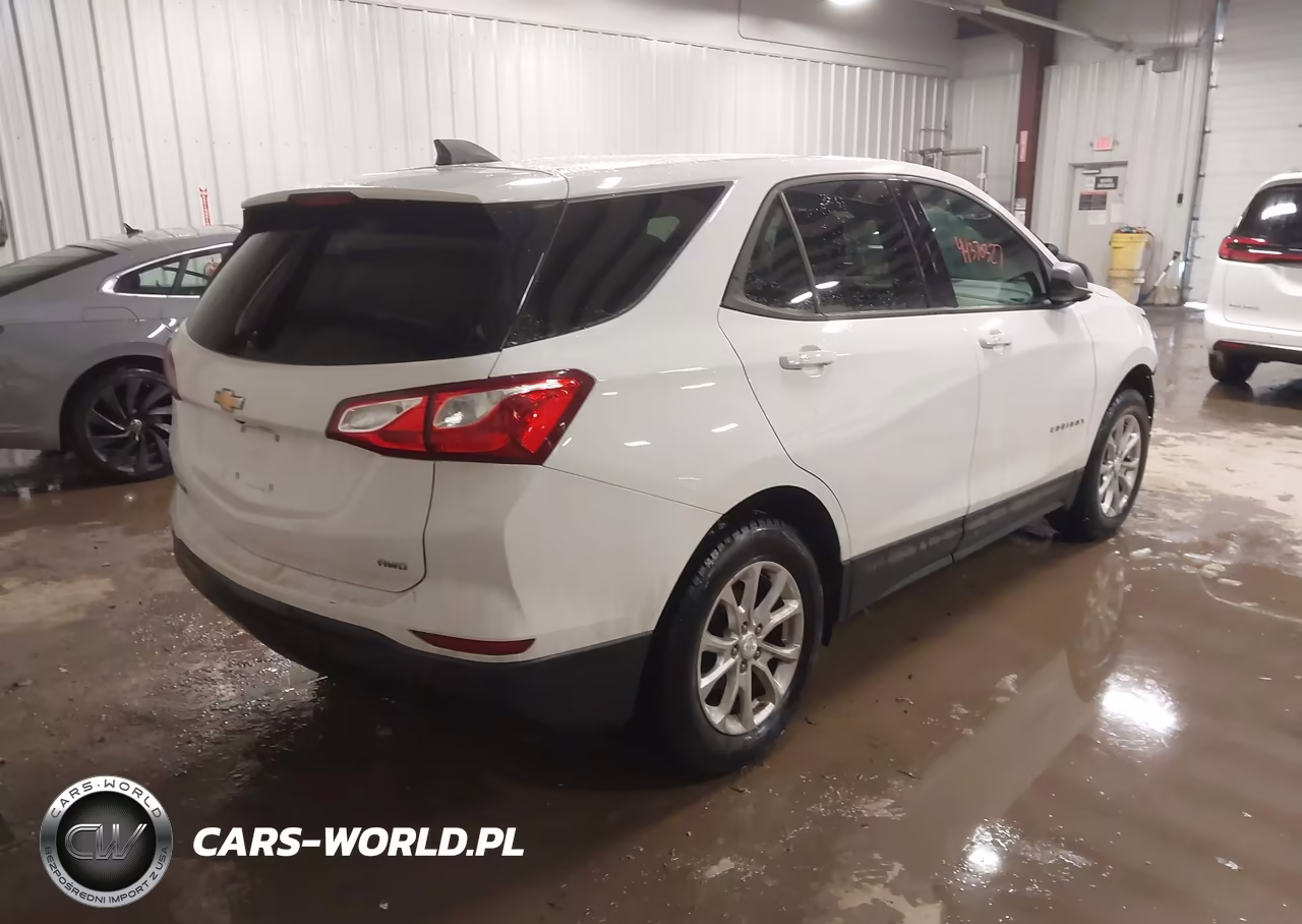 2019 Chevrolet Equinox Ls VIN:3GNAXSEV2KS644330 - 4