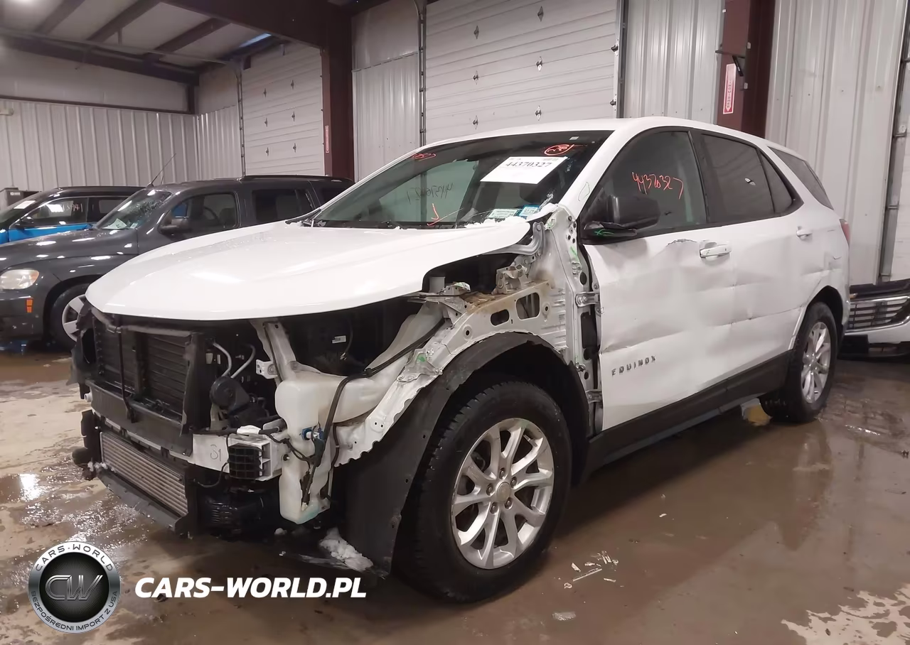 2019 Chevrolet Equinox Ls VIN:3GNAXSEV2KS644330 - 6