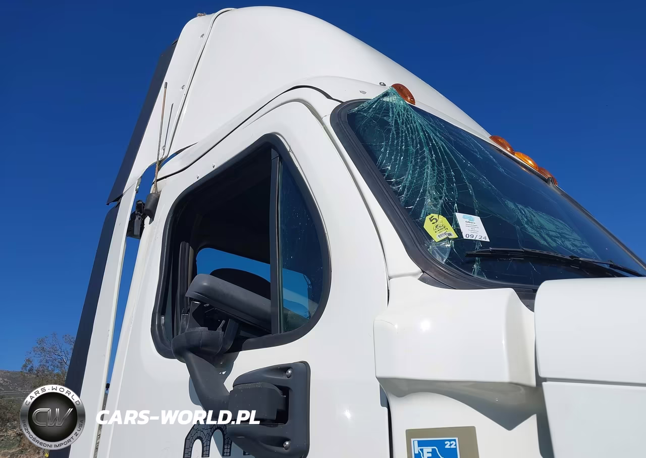 2015 Freightliner Cascadia 125 VIN:3AKJGEDV3FDGJ3986 - 12