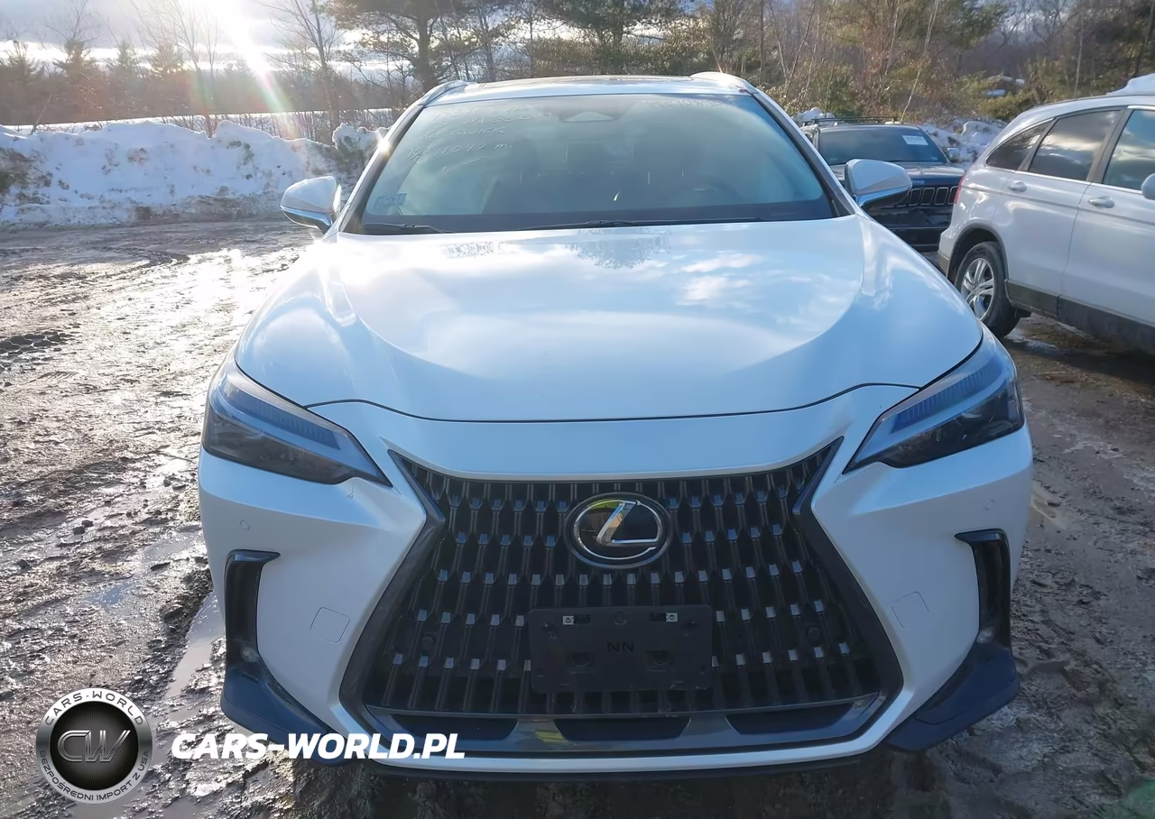 2025 Lexus Nx 350 Premium VIN:2T2GGCEZ7SC077861 - 12