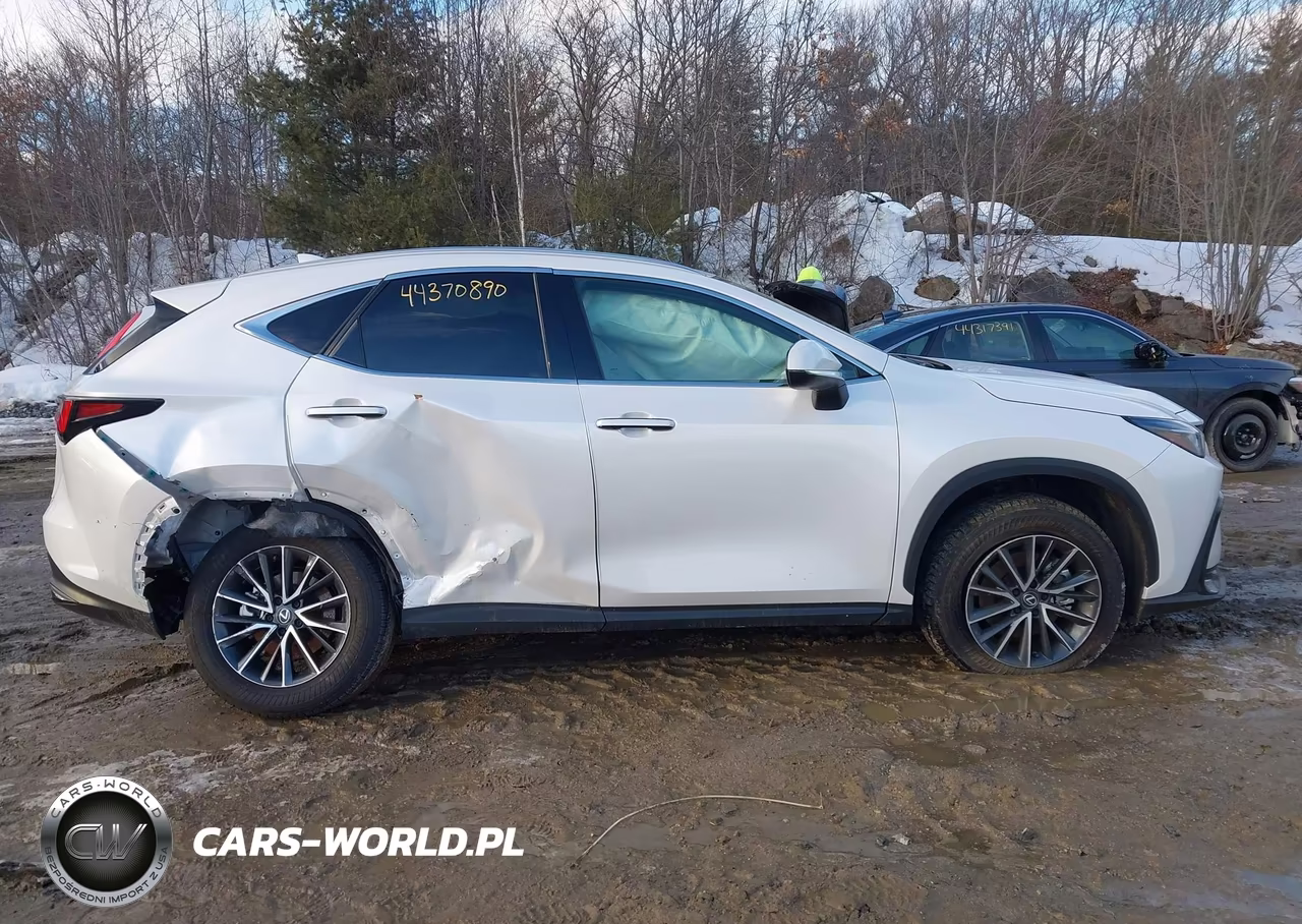 2025 Lexus Nx 350 Premium VIN:2T2GGCEZ7SC077861 - 13