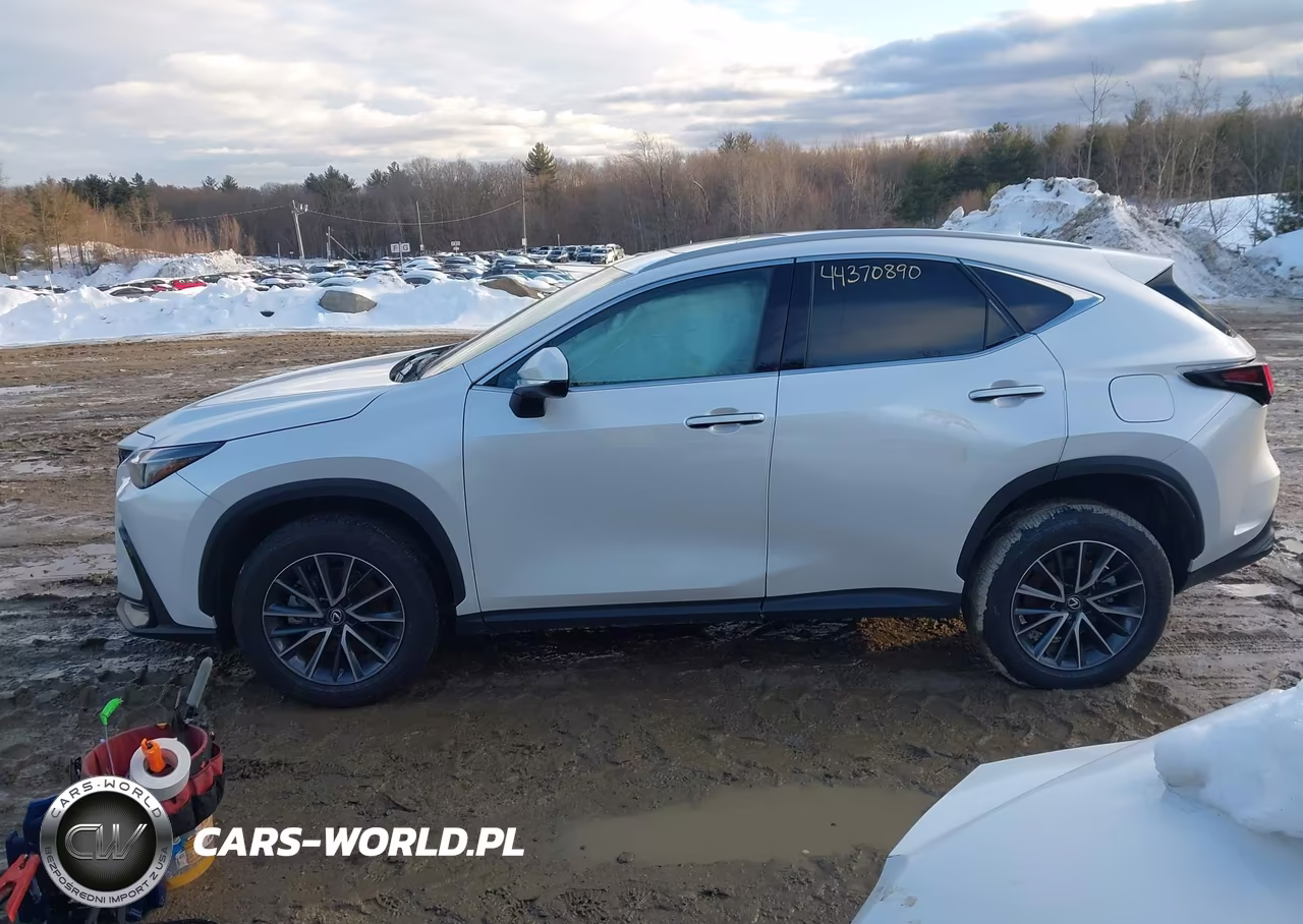 2025 Lexus Nx 350 Premium VIN:2T2GGCEZ7SC077861 - 14