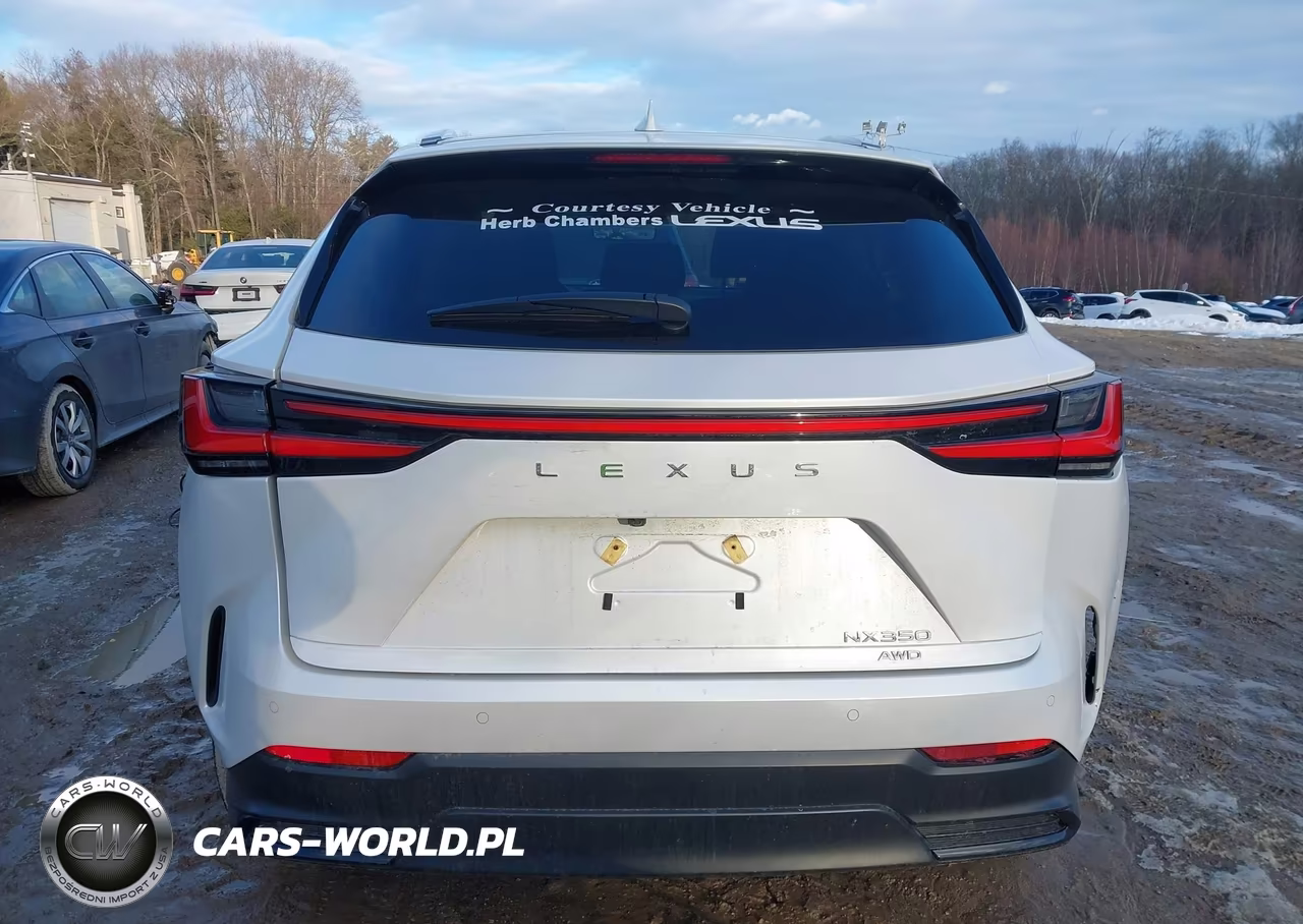 2025 Lexus Nx 350 Premium VIN:2T2GGCEZ7SC077861 - 16