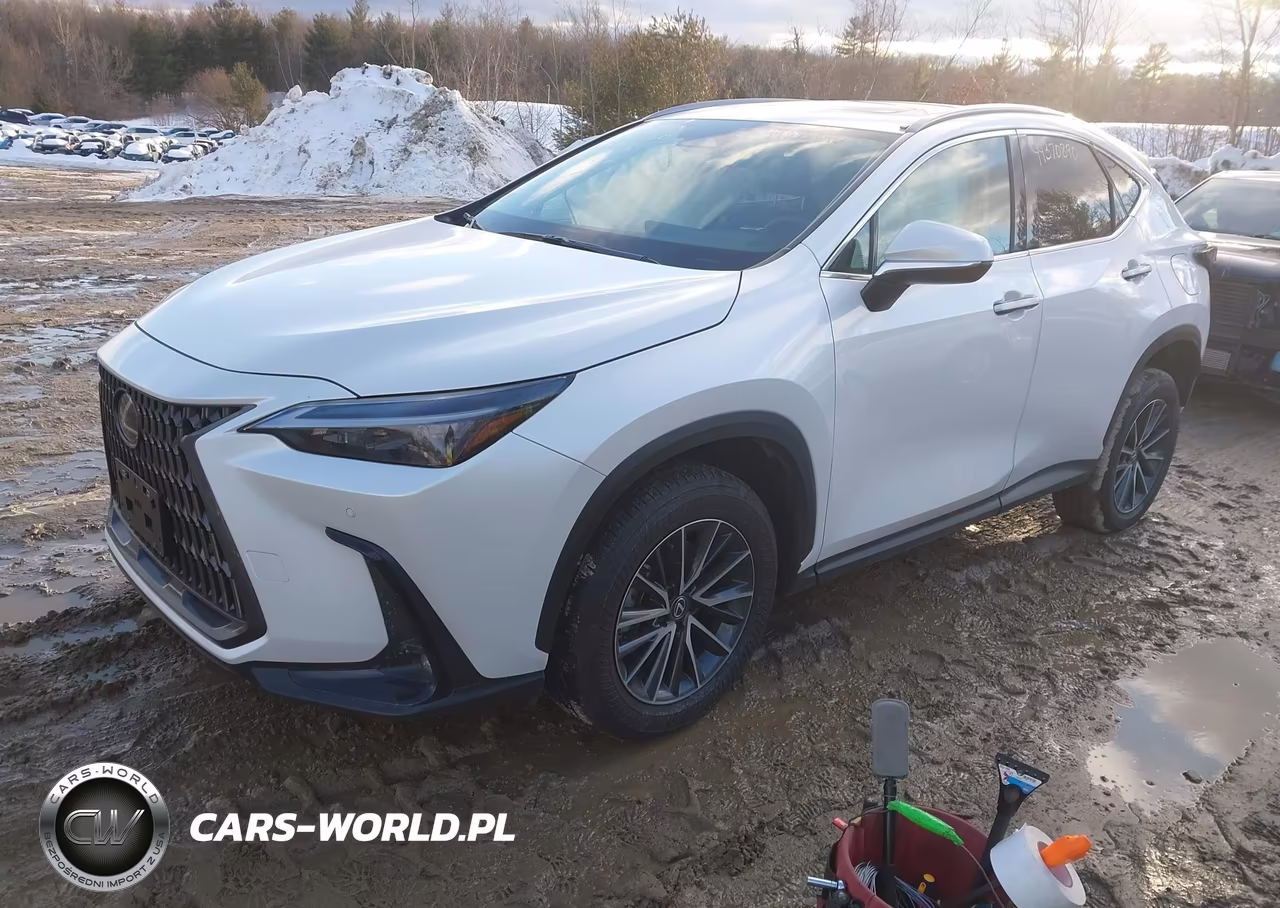 2025 Lexus Nx 350 Premium VIN:2T2GGCEZ7SC077861 - 2