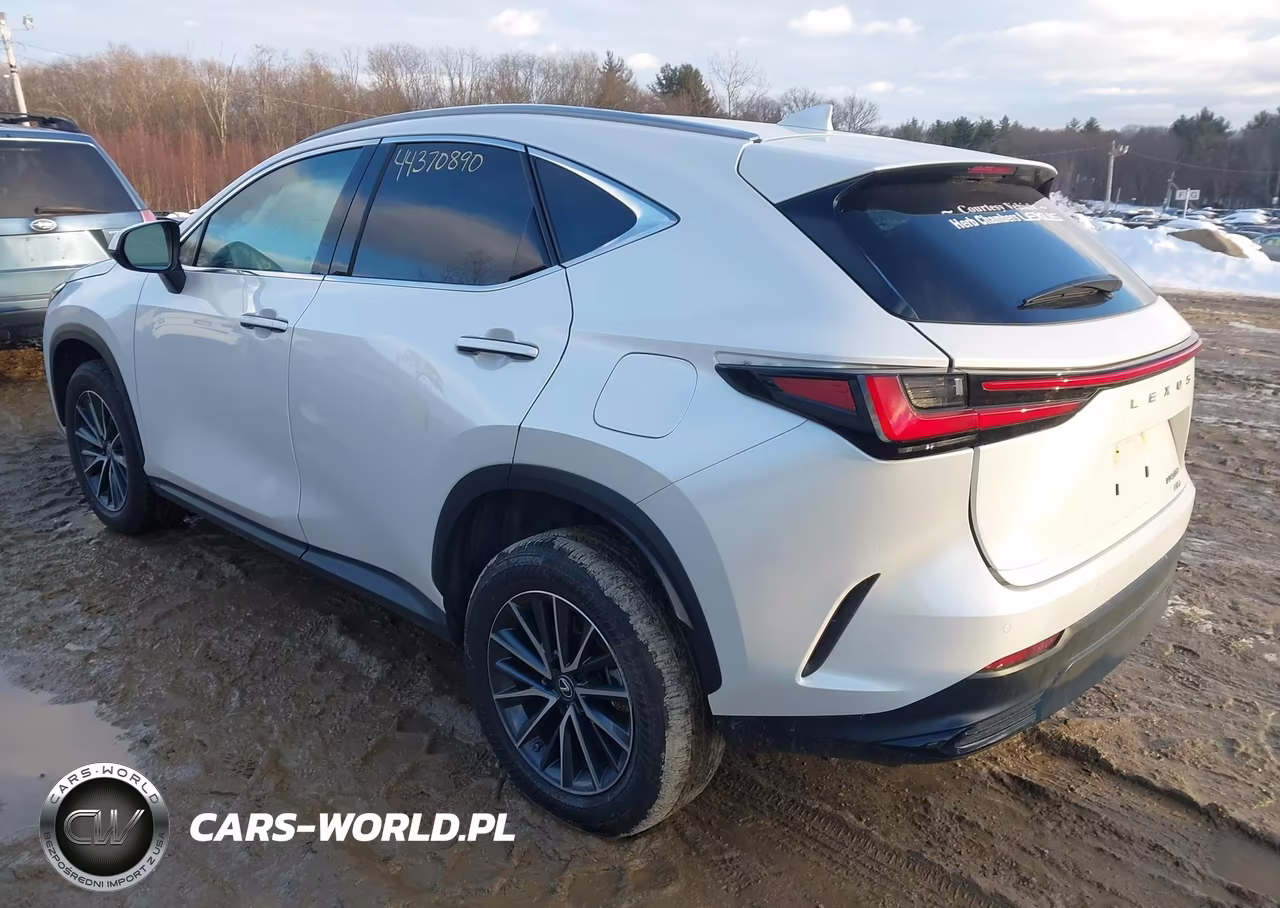 2025 Lexus Nx 350 Premium VIN:2T2GGCEZ7SC077861 - 3
