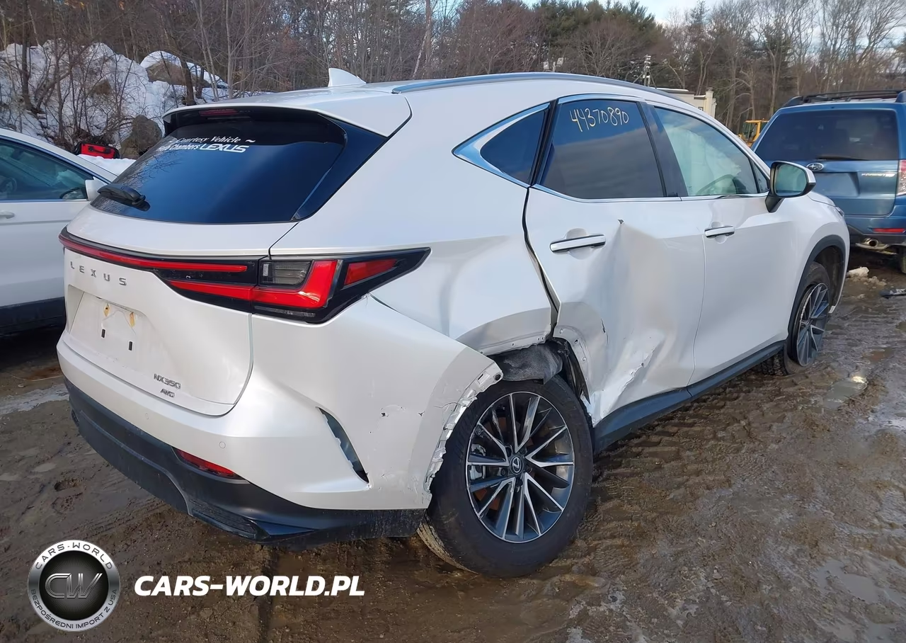 2025 Lexus Nx 350 Premium VIN:2T2GGCEZ7SC077861 - 4