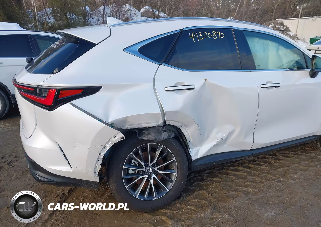 2025 Lexus Nx 350 Premium VIN:2T2GGCEZ7SC077861 - 6